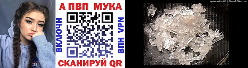 Alpha-PVP мука  как найти   Могоча 